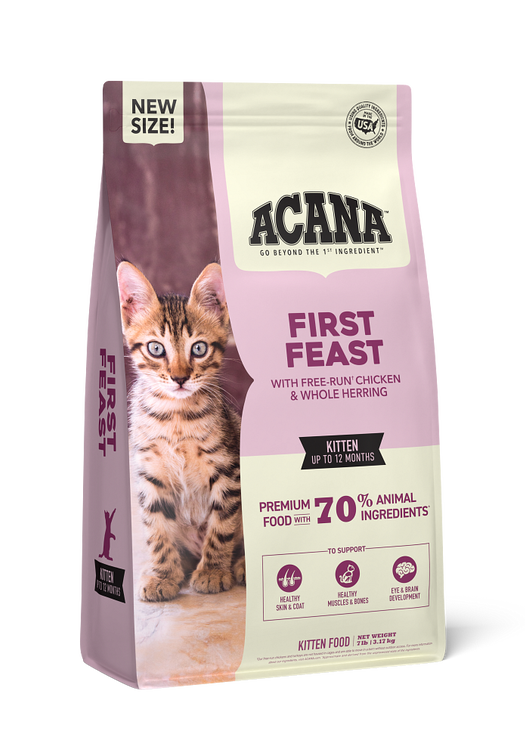 First Feast Kitten